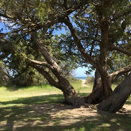 شقة I Tre Taglincchi, U Terzu - Proche Mer, Clim, Wifi, Parking Gratuit *