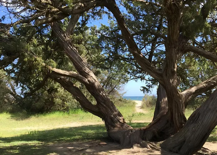 Appartement I Tre Taglincchi, U Terzu - Proche Mer, Clim, Wifi, Parking Gratuit *